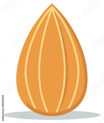 A single whole almond with grooved textured skin and a subtle shadow