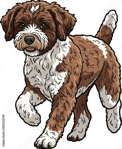 Lagotto Romagnolo dog cute trotting walking movement 
