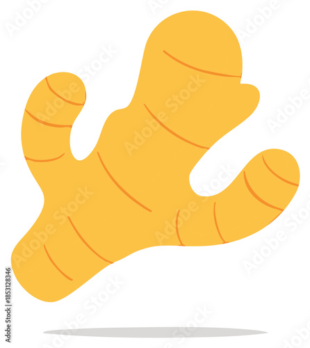 Natural ginger root illustration for health cooking spice and holistic wellness concepts.