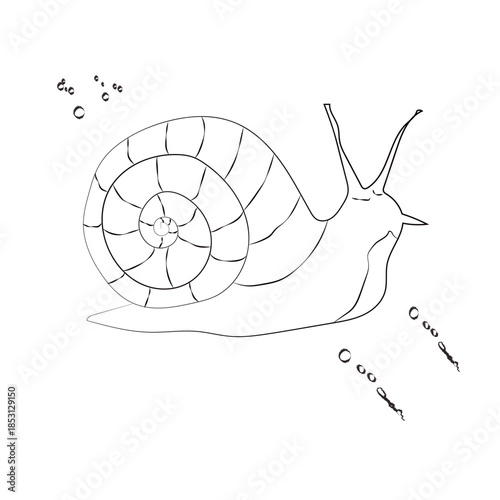 Element design vactor