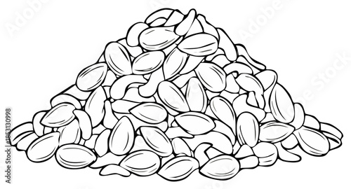Pumpkin Seeds Mound Illustration Line Art Healthy Snack Ingredients Food Preparation Culinary Black and White Outlines
