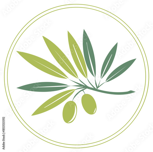Stylized olive branch with green olives and leaves inside a double circle border