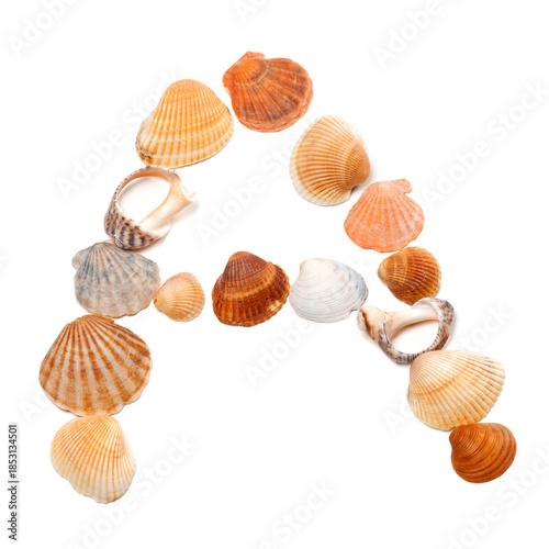 Letter A composed of seashells