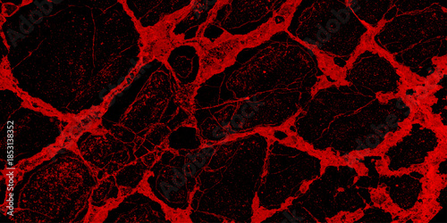 Red and black marble texture and background. Dark red marble texture background with high resolution, top view of natural tiles stone in luxury and seamless glitter pattern. 