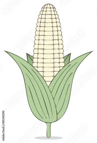 Stylized Corn on the Cob Graphic Fresh Food Ingredient Vegetable Harvest Agriculture Farming Crop