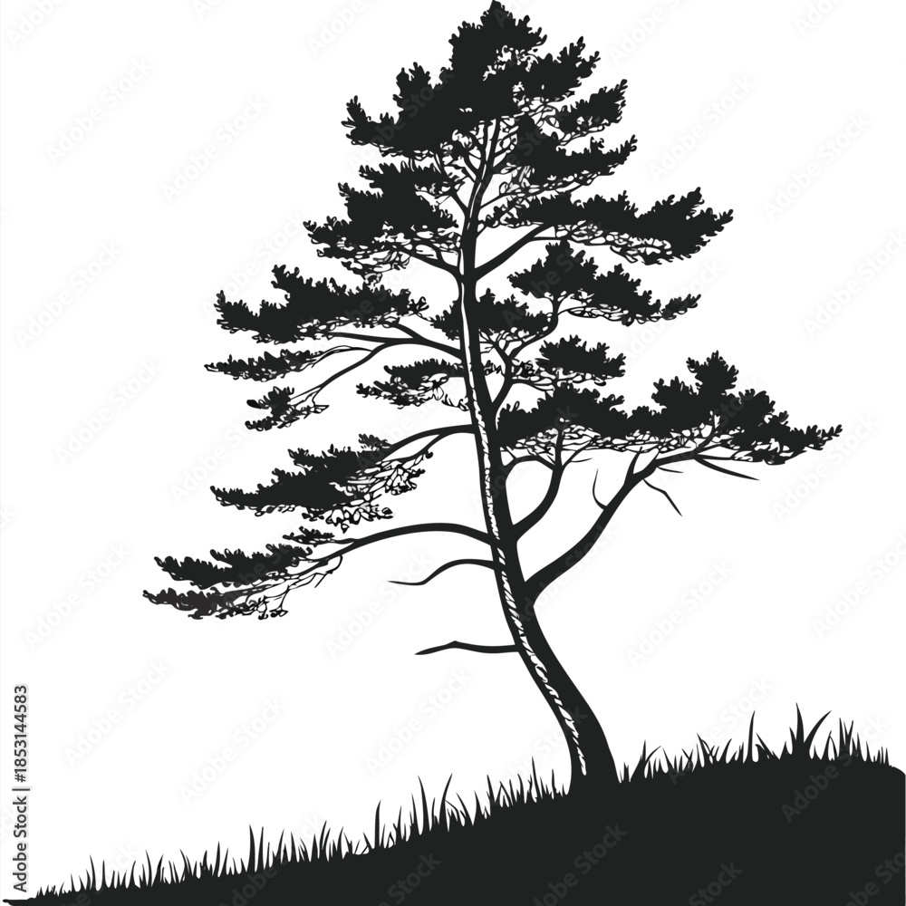 Obraz premium Vector illustration a black silhouette of a tree on a hill