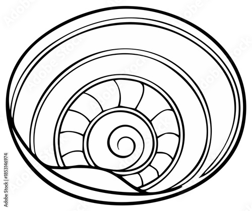 Simple line art illustration of snail shell, spiral pattern in black and white, minimal design, nautical theme, outline drawing, seashell