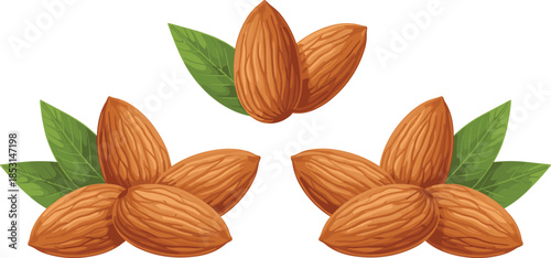 Vector illustration of almond clusters with green leaves for food design, botanical artwork, agricultural concept, nutrition theme, and natural product layout.