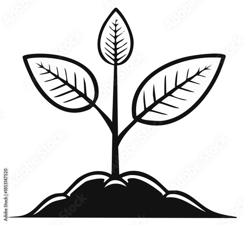 Sapling sprout in the ground: plant growth, organic gardening, nature conservation and environmental sustainability, black and white vector