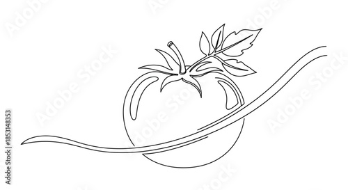 Continuous line drawing of a fresh tomato with leaves and a dynamic stroke Vector