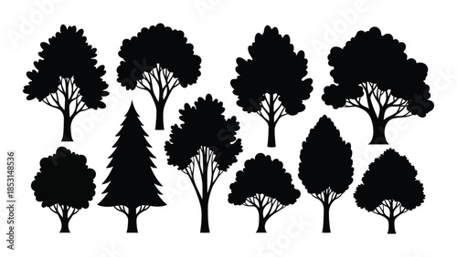 Collection of various tree shapes in a striking black silhouette