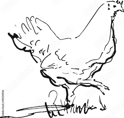 Hand Drawn Farm Hen Bird Standing Minimalist Sketch