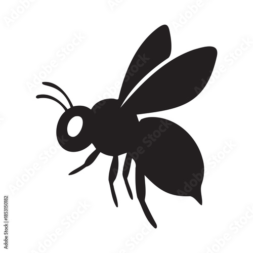 Dark silhouette of a flying insect on black background