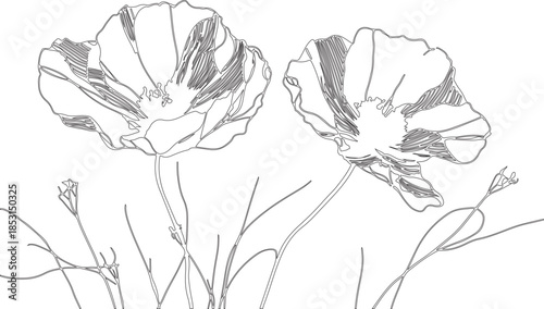 hand drawn poppy flower or silhouette sketch art hand drawn vector of flowers made by various geometric lines.