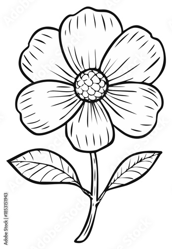 Outline of a simple flower with five petals and two leaves