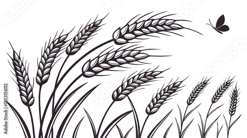 Vector illustration black and white illustration of wheat stalks with a butterfly flying overhead