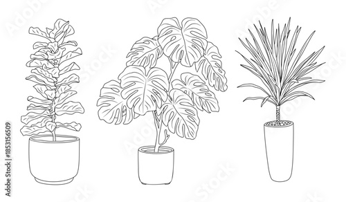 Clean black and white line art vector illustration of modern potted house plants isolated on transparent background for interior and decor design.