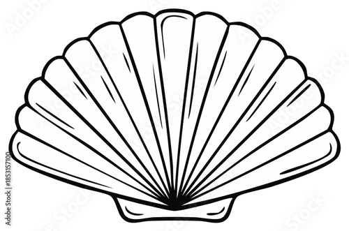 Simple black and white illustration of a seashell