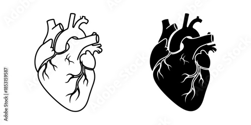 Illustrated comparison of human hearts