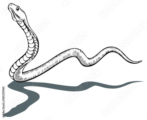 Detailed Illustration of Snake with Raised Head and Visible Scales and Shadow