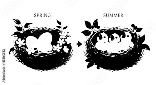 Silhouette nest illustrations with eggs and foliage representing spring and summer seasons.