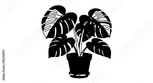 Monstera plant silhouette in a pot with large split leaves.