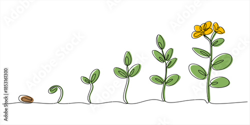 A visual representation of plant growth from seed to flowering stage Vector, illustration