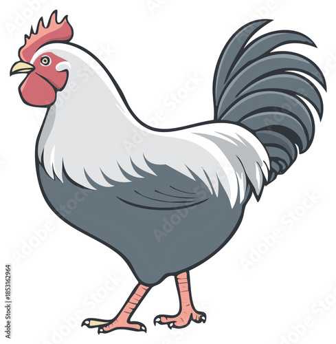 Illustrated rooster graphic profile with detailed feathers and comb