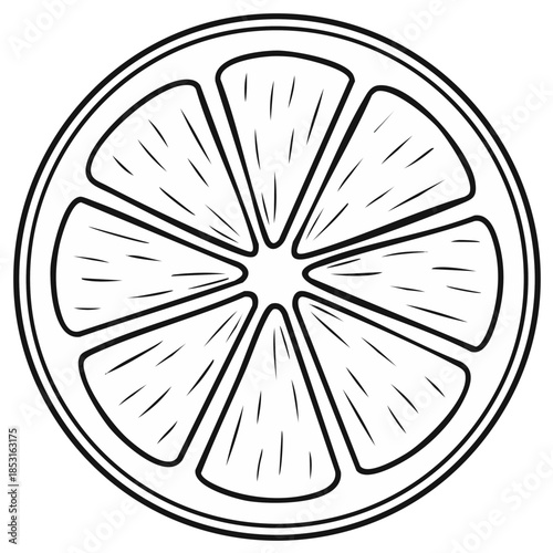 Fresh citrus slice graphic illustration with segmented juicy pulp lines