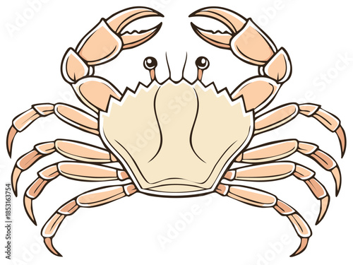 Cute animated crab vector illustration with detailed body and pincers