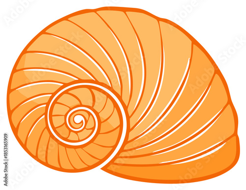 Bright orange mollusk shell vector illustration featuring a beautiful spiral design
