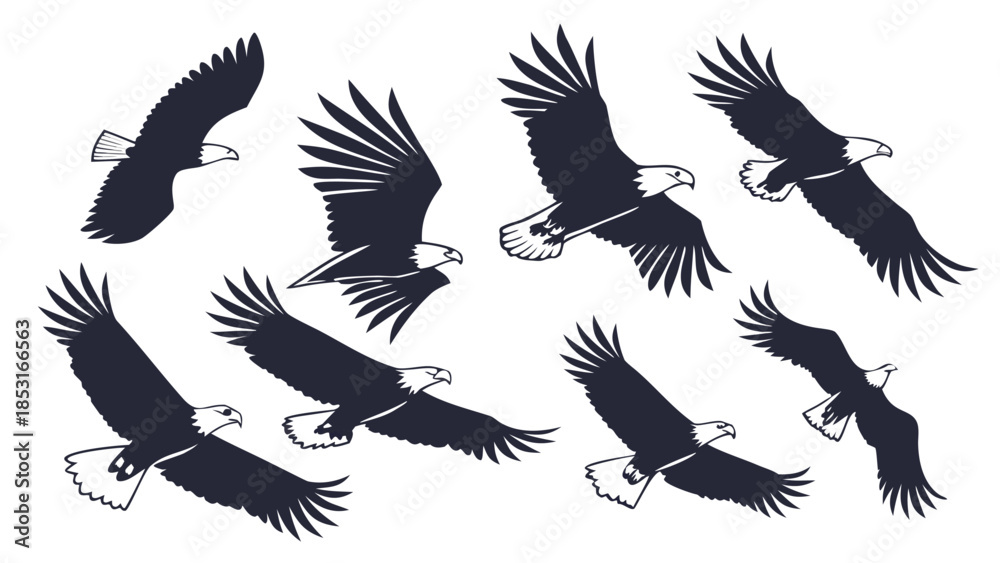Obraz premium Vector illustration collection of seven black eagle silhouettes flying in formation