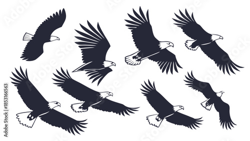 Vector illustration collection of seven black eagle silhouettes flying in formation
