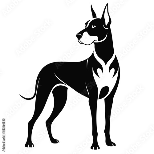 great dane line art silhouette vector illustration