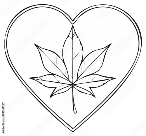 Cannabis leaf inside heart illustration, outline drawing for design elements, cannabis plant love
