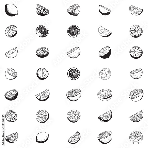 Lemon Slice Clip Art 