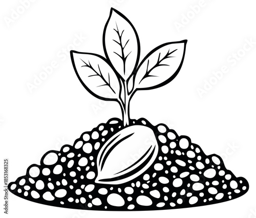 Sprouting Seedling with Leaves Emerging from Soil, Black and White Illustration
