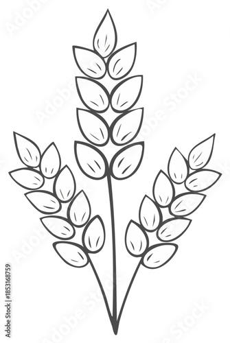 Minimalist Outline Illustration of Three Wheat Stalks with Detailed Leaves Representing Agriculture and Harvest