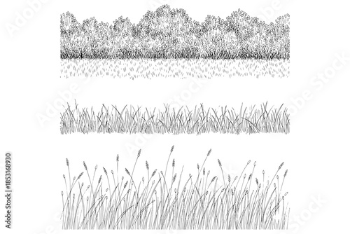 set of grass,
Minimal Forest Line CAD Set – Ground Cover and Grass Section for Architectural Elevations