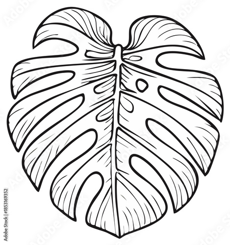 Black and White Illustration of a Monstera Deliciosa Leaf