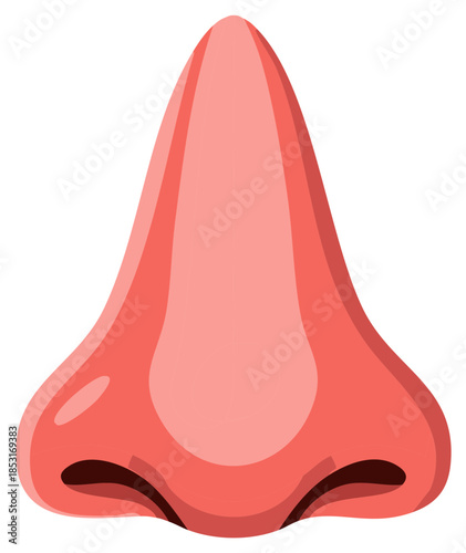 Human Nose Illustration Graphic Anatomy Facial Feature Respiration Sense of Smell