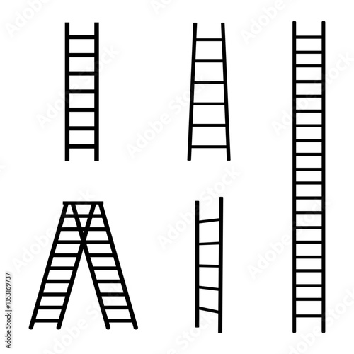 ladder