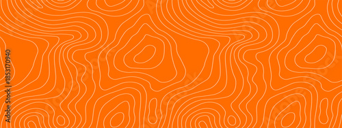 Salmon tuna sushi with meat pattern texture for fish abstract wood. Lines label seafood with red sardine package for art sketch fillet. Design background salmon with sashimi meat dish.