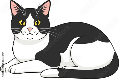 Cute Black and White Tuxedo Cat Vector Illustration Featuring a Domestic Bicolored Feline Lying Down Relaxed Isolated on White Background for Pet Lovers Graphic Design