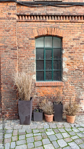Old brick building facade with arched window and potted dry plants arranged on cobblestone pavement. The image represents urban atmosphere, rustic architecture, and quiet courtyard aesthetic