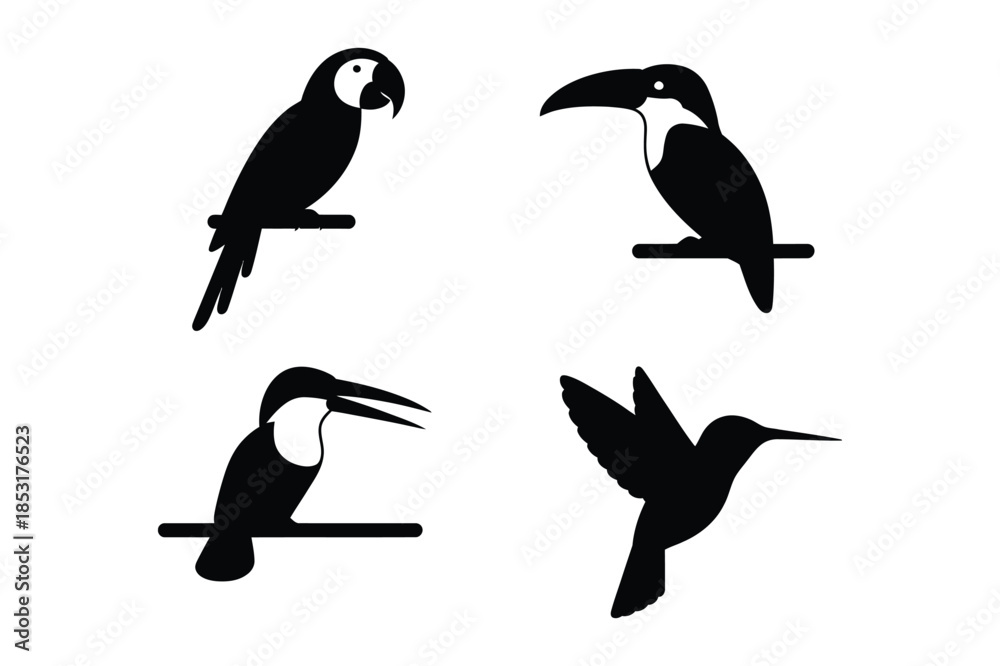 Obraz premium Tropical Exotic Birds Silhouettes Parrot Toucan and Hummingbird