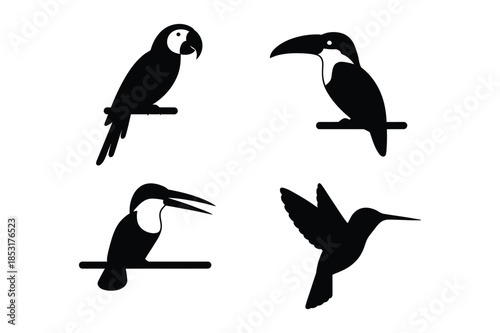 Tropical Exotic Birds Silhouettes Parrot Toucan and Hummingbird