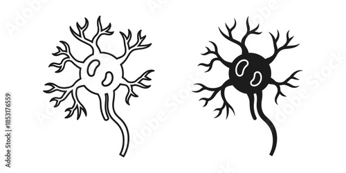 Illustration of two neurons