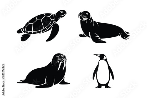 Marine Animal Silhouettes Turtle Seal Walrus and Penguin