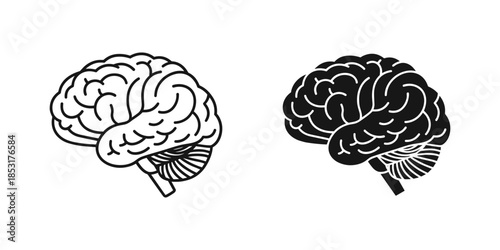 Two illustrations of human brains